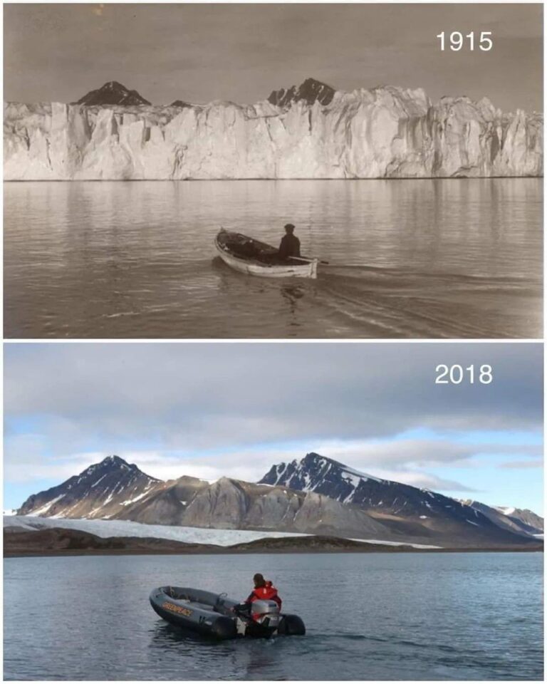 Una comparación que vale más que mil palabras... 1 Una Comparacion Que Vale Mas Que Mil Palabras