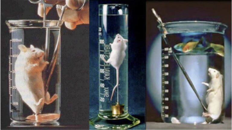🌏 El perfluorocarbono es un líquido que te permitiría "respirar", si estuvieras sumergido en él. 1 🌏 El Perfluorocarbono Es Un Liquido Que Te Permitiria Respirar Si Estuvieras Sumergido En El