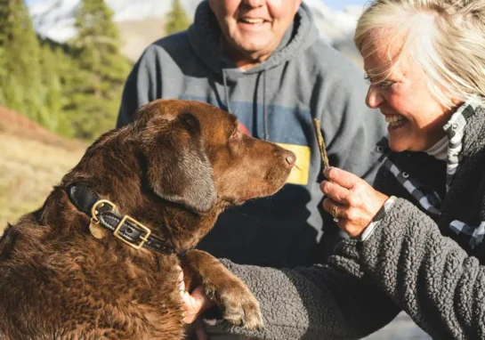 Una Anciana Deja Una Herencia De Mas De 2 Millones A Sus Perros Y Gatos En Lugar De A Sus Hijos