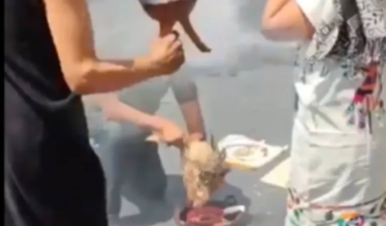 Polémica en México tras sacrificar a una gallina en las instalaciones del Senado.