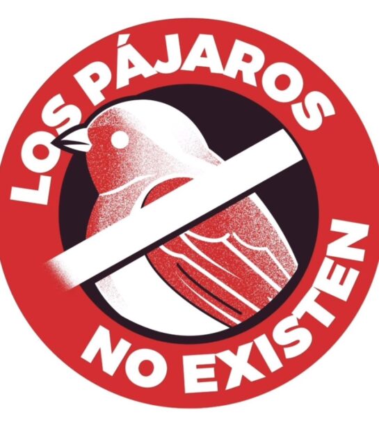 Los Pajaros No Existen