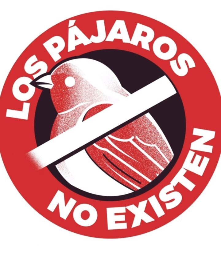 LOS PÁJAROS NO EXISTEN!!!!!!! 3 los pajaros no existen