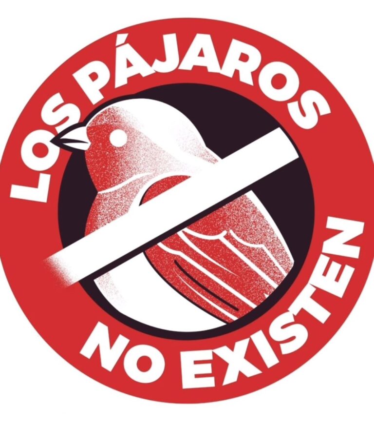 LOS PÁJAROS NO EXISTEN!!!!!!! 1 Los Pajaros No Existen