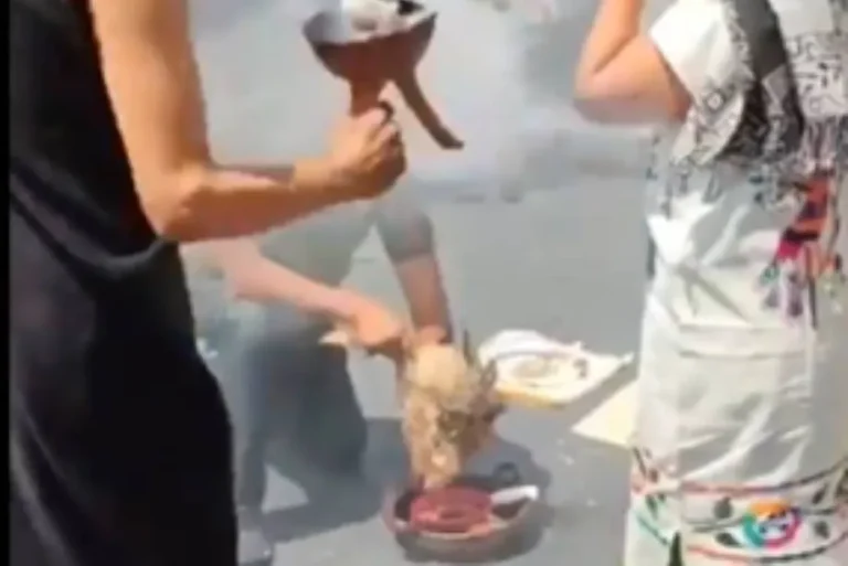 Polémica en México tras sacrificar a una gallina en las instalaciones del Senado. 1 Polemica En Mexico Tras Sacrificar A Una Gallina En Las Instalaciones Del Senado