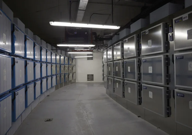 Denuncia la desaparición de su mujer, identifica su cadáver y tres días después de la incineración se la encuentra viva. 1 Denuncia La Desaparicion De Su Mujer Identifica Su Cadaver Y Tres Dias Despues De La Incineracion Se La Encuentra Viva