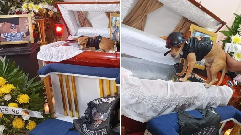 Perrito Acude A Funeral De Su Dueno Que Murio En Accidente En Moto ¡lo Despidio