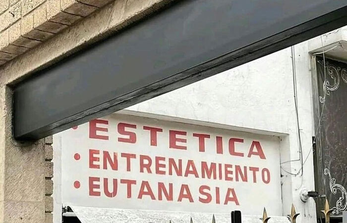 Elige tu propia aventura.