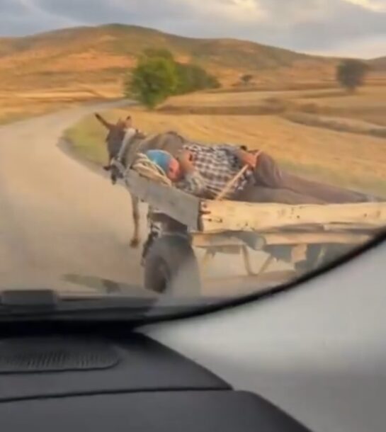 Aquí el Autopiloto original, ni Tesla lo tiene. 7 Aqui El Autopiloto Original Ni Tesla Lo Tiene