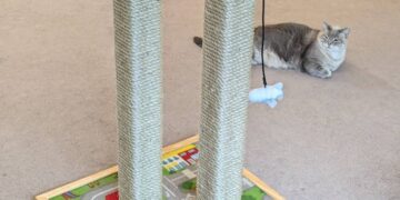 No Lo Quiero Lo Necesito