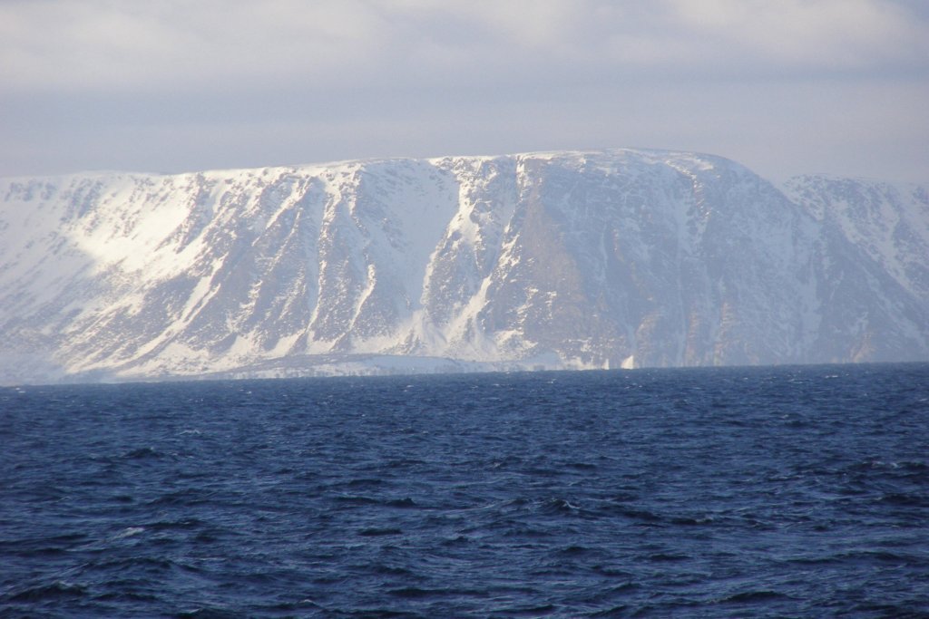 Los oceanógrafos registran el mayor evento de depredación jamás observado en el océano