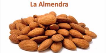 5 Alimentos Que Ayudan A Quitar El Hambre | Nutricion y Dietas