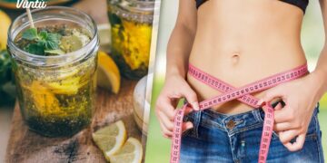 5 alimentos que te haran perder grasa abdominal