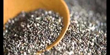 BAJA DE PESO CON LA CHIA, NATURALMENTE SIN DIETAS NI EJERCICIOS