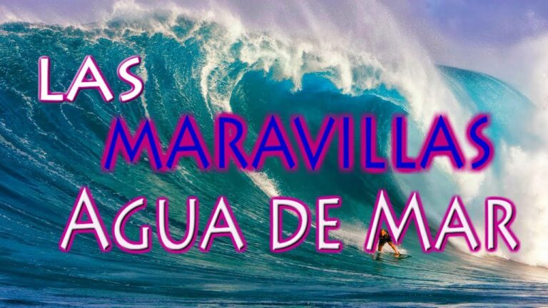 Beneficios del Agua de Mar para la Salud