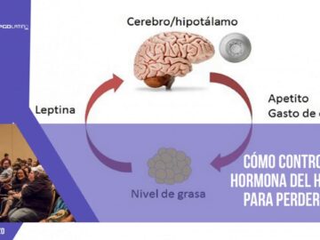 Cómo controlar la hormona del hambre para perder peso