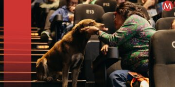 El perrito viral de la FICM, ya encontró hogar; conoce su historia- Grupo Milenio