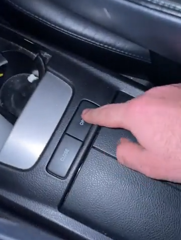 El Compartimiento Del Gato