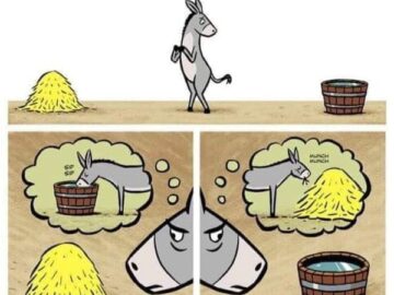 El Dilema Del Burro
