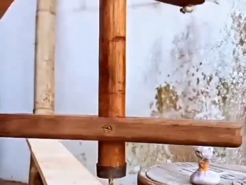 El Taladro Ecologico