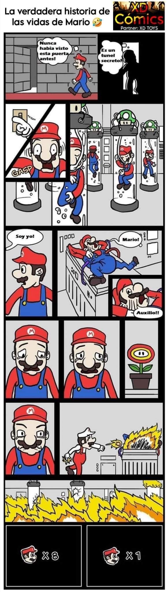 La Verdadera Historia De Mario