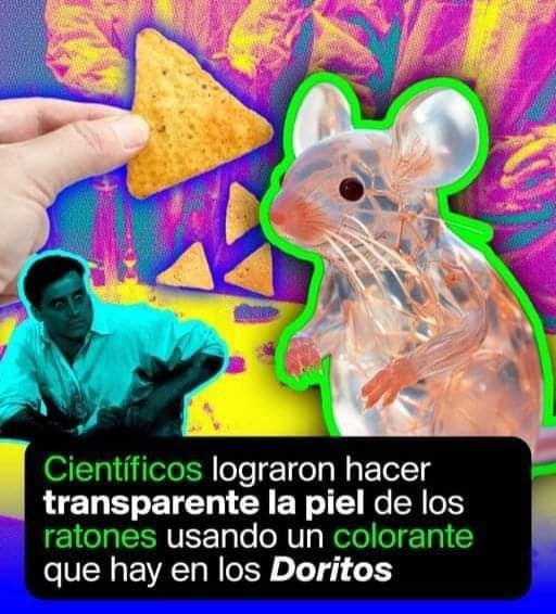 Los Doritos Nos Hacen Transparentes