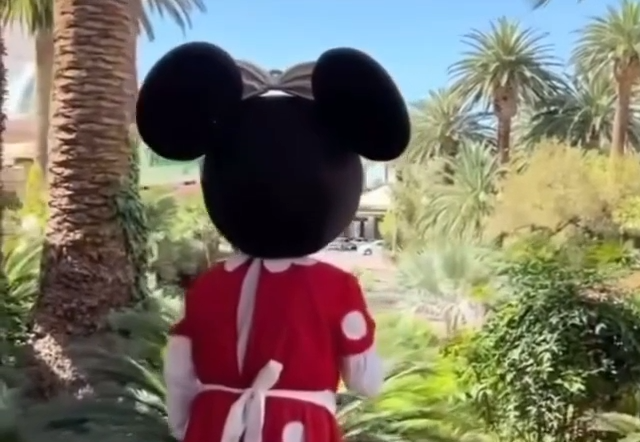 Minnie Minnie Tomate Una Foto Conmigo