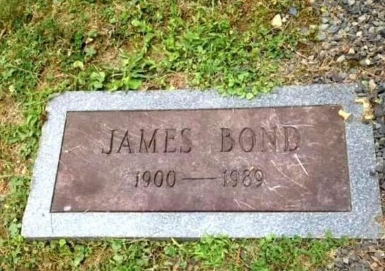 Sabias que el nombre de James Bond salio de.... 5 Sabias Que El Nombre De James Bond Salio De