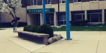 Se Convirtio En Pajaro