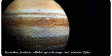 La NASA captura la imagen de un animal en Júpiter