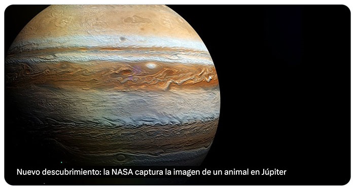 La NASA captura la imagen de un animal en Júpiter