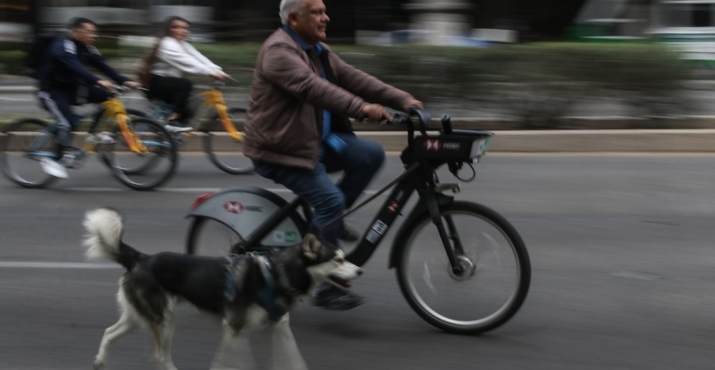 Gran Rodada CDMX Pedalea en bici recorre museos y gánate un viaje a Ámsterdam