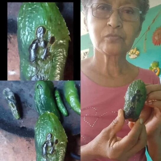 Una señora asegura que San Judas Tadeo se le apareció mientras tatemaba chiles.