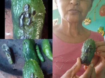 Una Senora Asegura Que San Judas Tadeo Se Le Aparecio Mientras Tatemaba Chiles