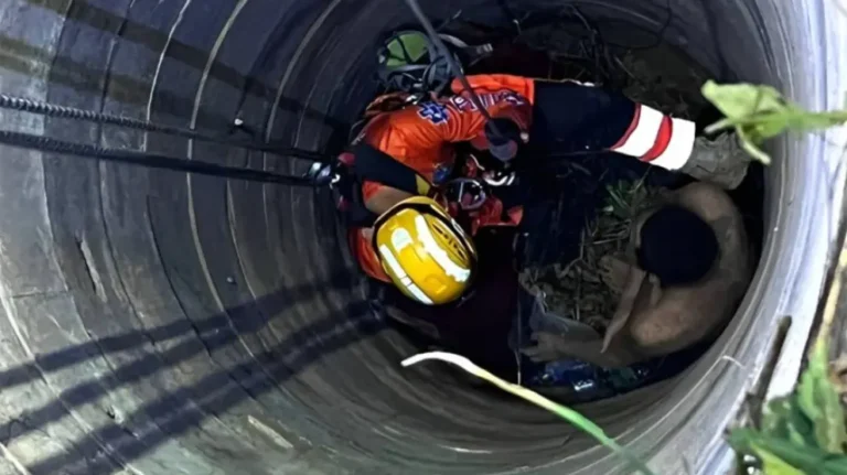 Cae En Un Pozo Y Pasa Tres Dias Atrapado Porque Los Vecinos Confundieron Sus Gritos Con Los De Un Fantasma