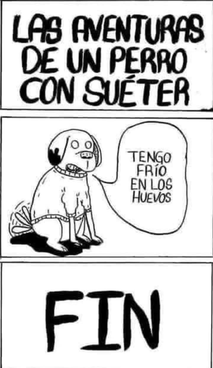 Las Aventuras Del Perro Con Sueter