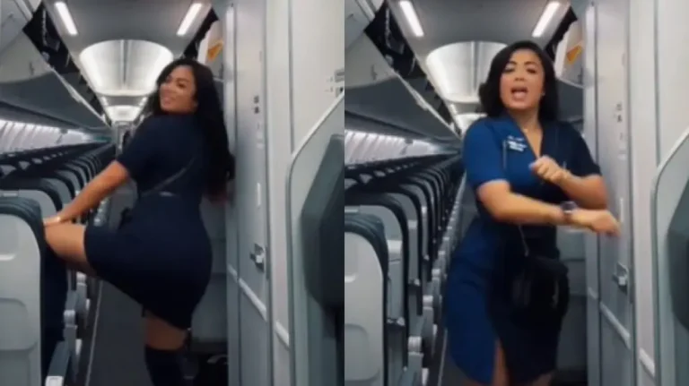 Despiden a una azafata por hacer twerking y grabarse en el pasillo de un avión Nunca pensé que esto me costase todo