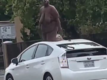 Gringolandia Es Un Psiquiatrico A Puertas Abiertas