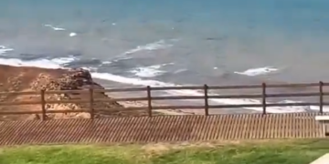 La Naturaleza Es Hermosa