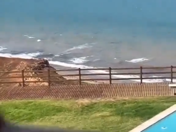 La Naturaleza Es Hermosa