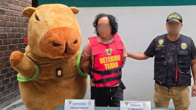 La Policia Peruana Se Disfraza De Capibara Para Completar Con Exito Un Operativo Antidroga