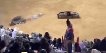 La versión mexicana de El Juego del Calamar. 20 La Version Mexicana De El Juego Del Calamar