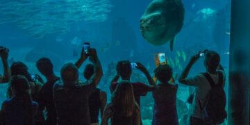 Medida desesperada con humanos de cartón para devolver la felicidad a un gigantesco pez de acuario. 3 Medida Desesperada Con Humanos De Carton Para Devolver La Felicidad A Un Gigantesco Pez De Acuario