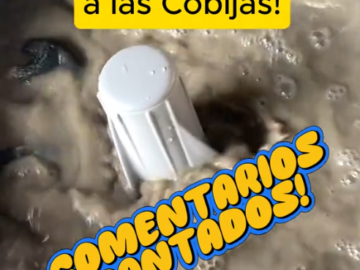Comentarios Cantados