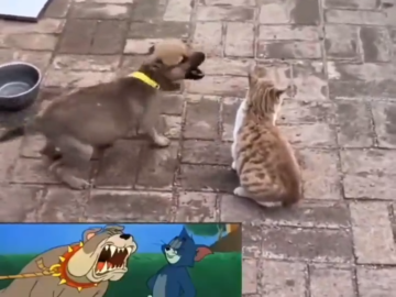 La Vida Imita Las Caricaturas