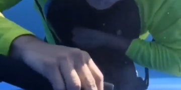 Reparando Fuga De Piscina