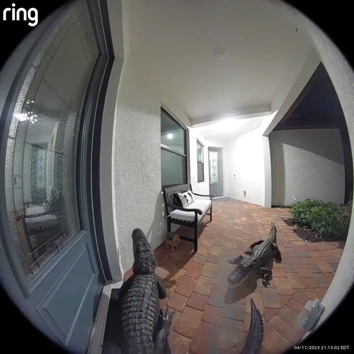 Cada Vez Mas Improvisados Los Testigos De Jehova