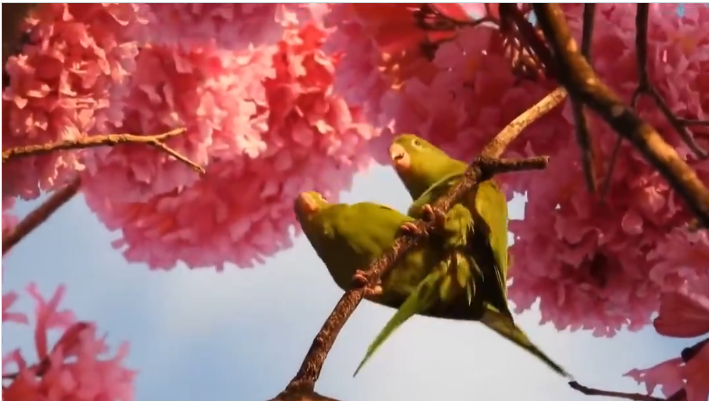 Incluso Los Pajaros Tienen Una Vida Amorosa Mejor Que Tu
