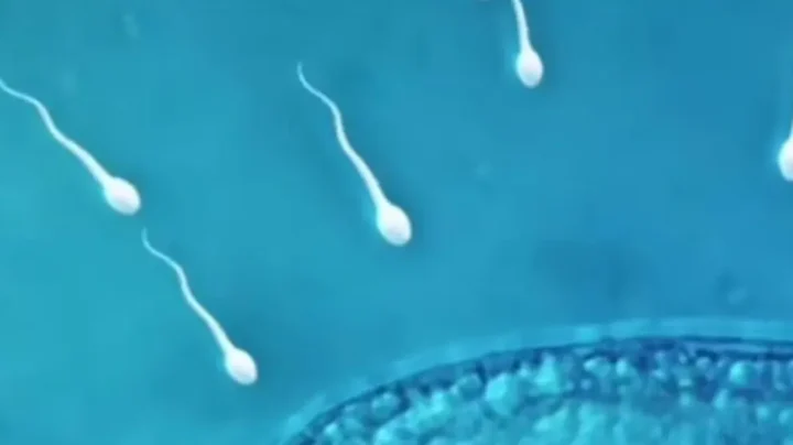 la primera carrera de espermatozoides de la historia se celebrara en los angeles