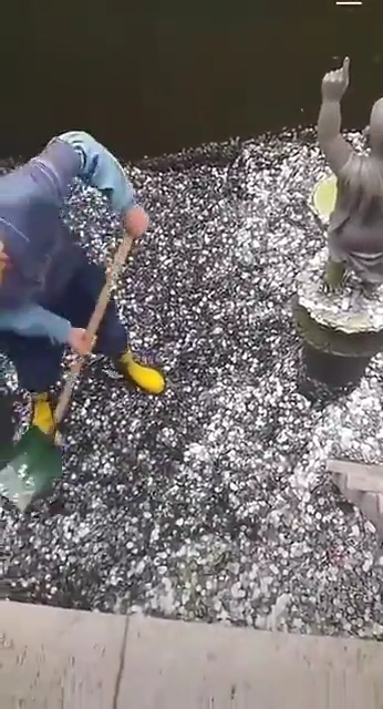 Cuando Toca Limpiar Las Fuentes De Los Deseos