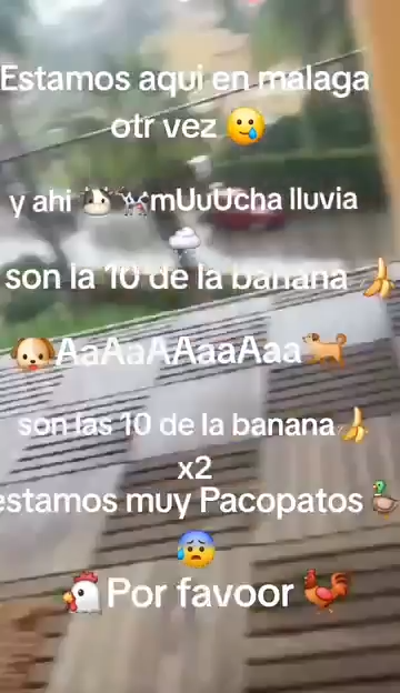 No Se Si Ya Lo Habia Puesto Pero Nunca Esta De Mas